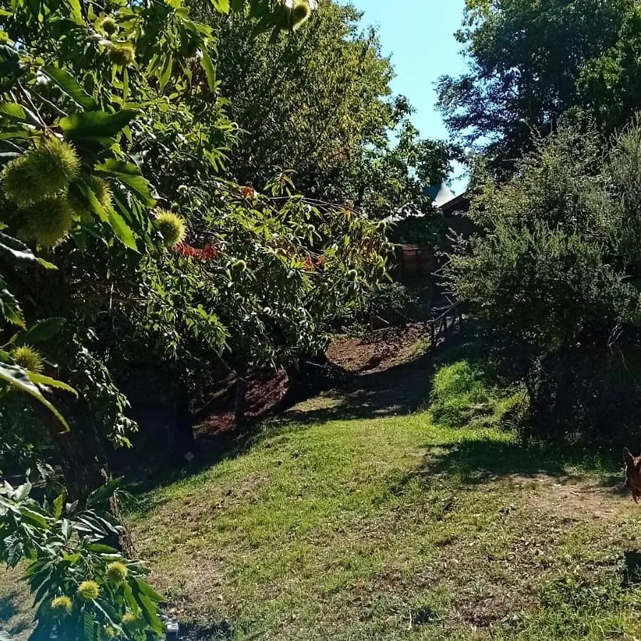 Casa Tullio Apartment Sassetta